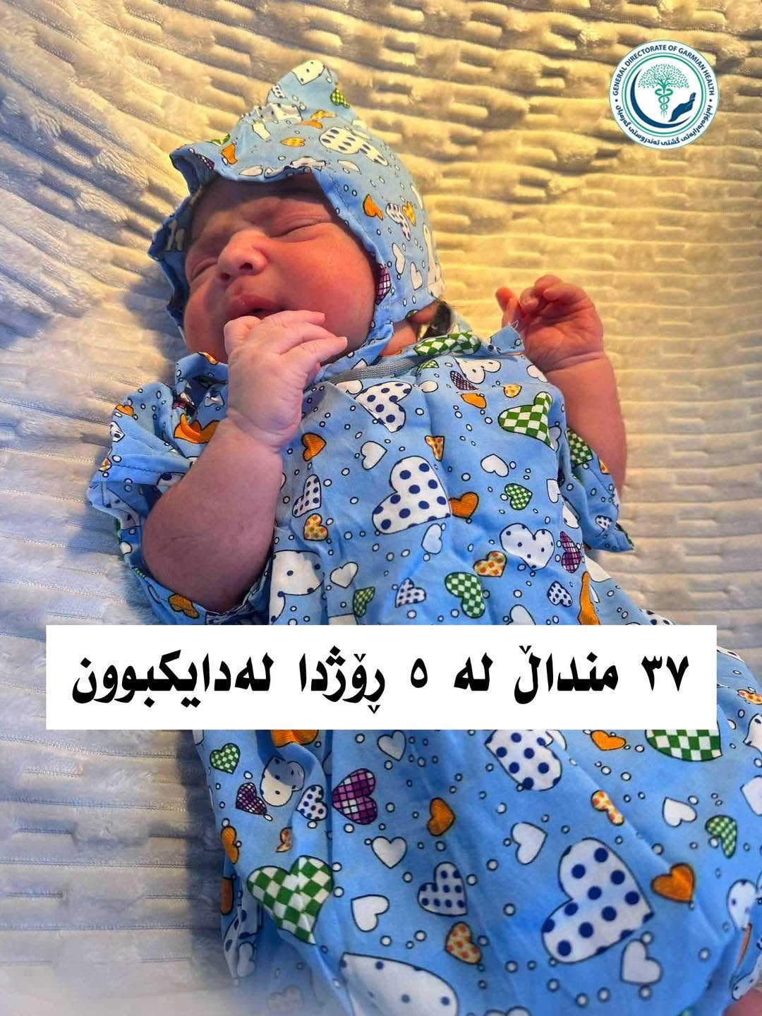 بابەتی بێناونیشان 4145